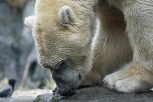 歓迎会の費用負担はどのように分担するべきですか？