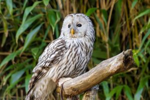 社会人が適切なタイミングで行うべき報告のポイントは？