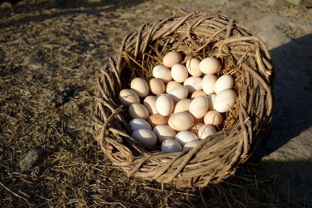 社会人が配慮すべき敬語の心得とは？