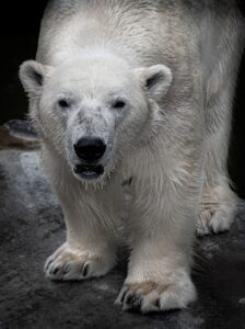 歓送迎会での会費負担を軽減するためのアイデアは？