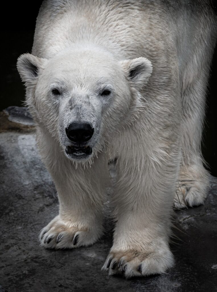 歓送迎会での会費負担を軽減するためのアイデアは？