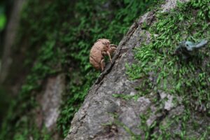 退職の挨拶メールで気を付けるべきポイントは？