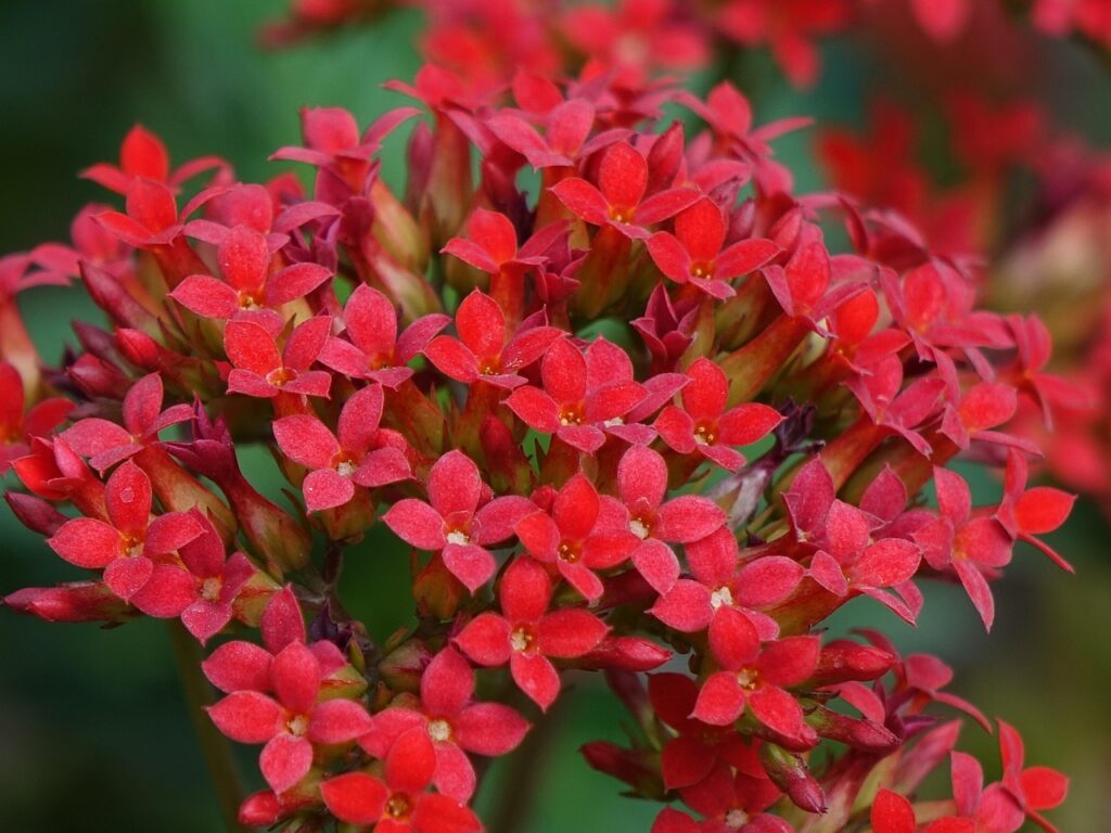 有給を使う理由として知っておくべきメリットは？