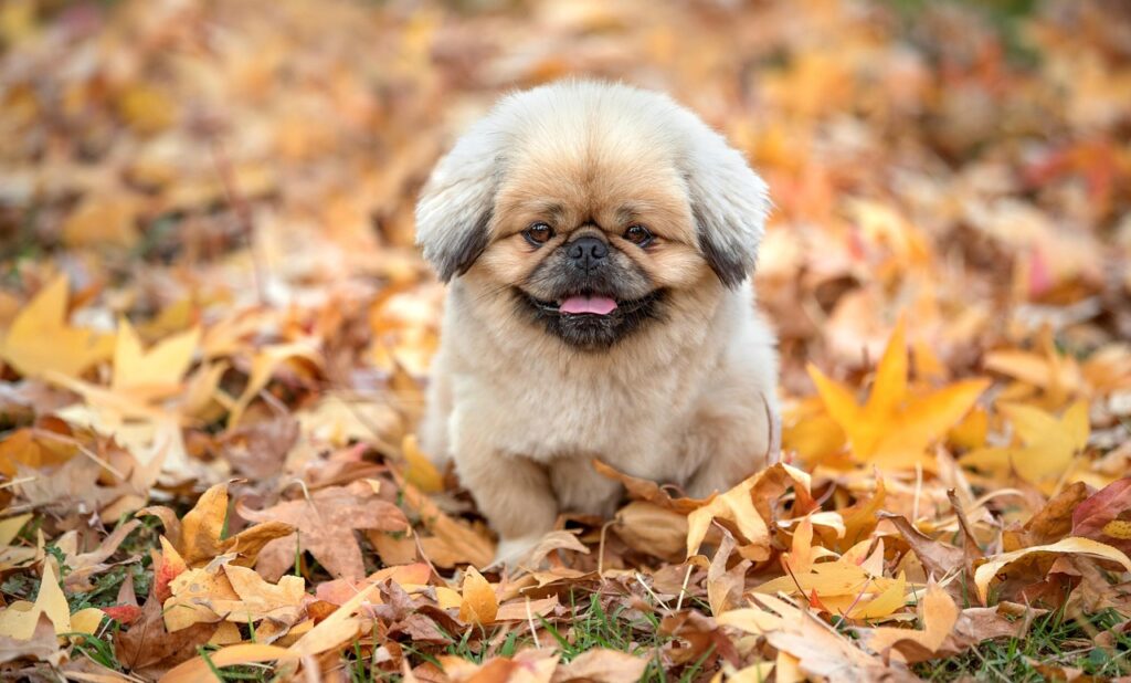 訂正メールの返信はどうすれば良いのか？