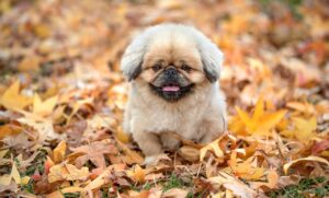 訂正メールの返信はどうすれば良いのか？