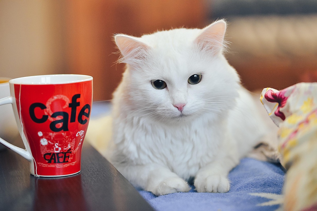飲み会の幹事がやることとは？