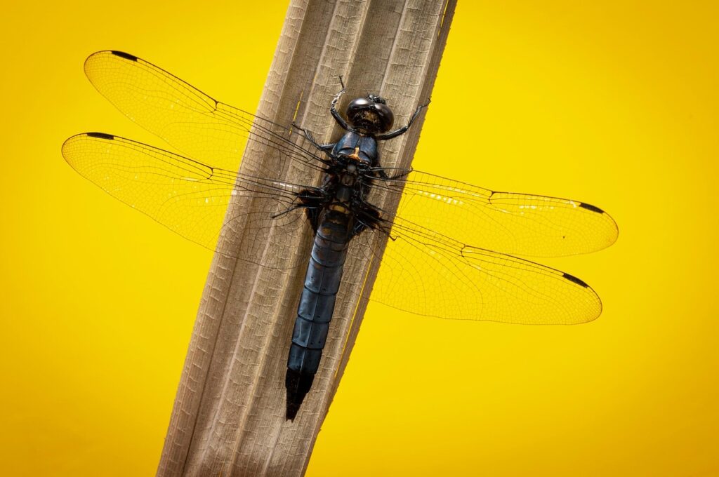 初出勤に必要な持ち物は事務職で何ですか？