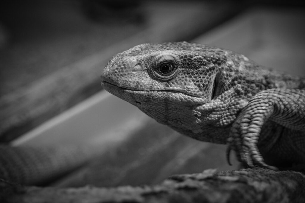 幹事役を成功させるためのポイントは？