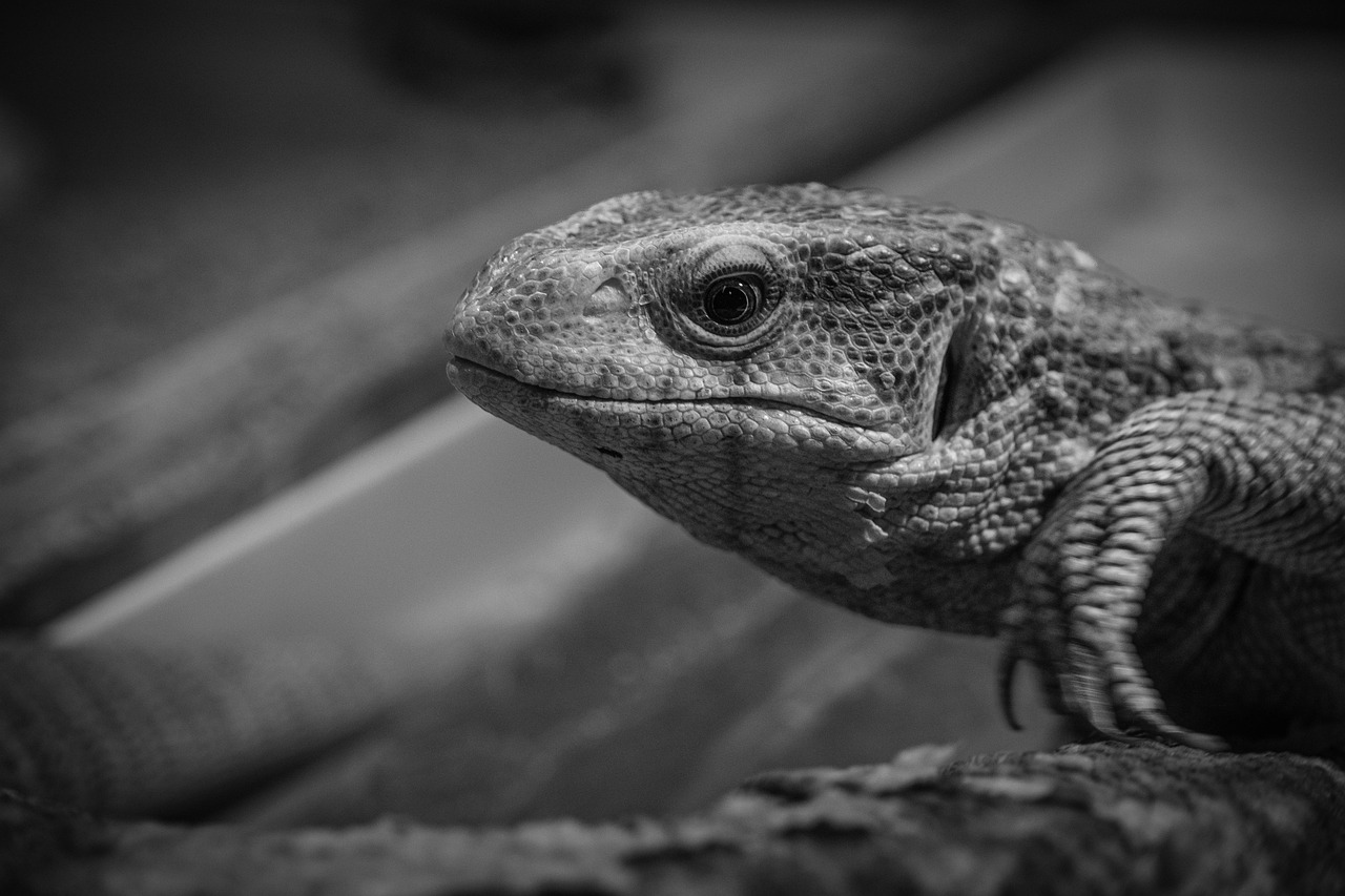 幹事役を成功させるためのポイントは？