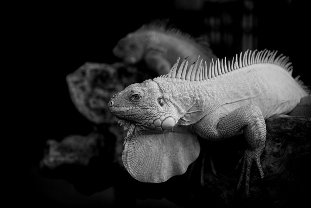 残業申請の理由として考えられる例は？