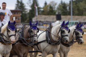 残業申請の理由に関する具体的な例は？