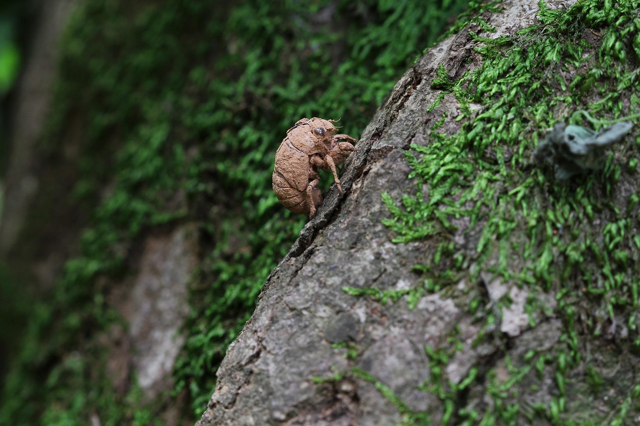 退職時に送るメール挨拶のポイントとは？