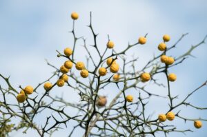 遅刻した人への対応として効果的なコミュニケーション方法は？