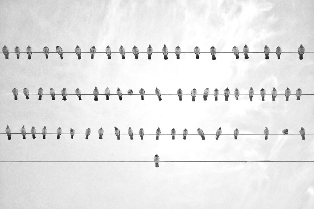 キャリアアップのための印象改善に役立つマナーを徹底するには？