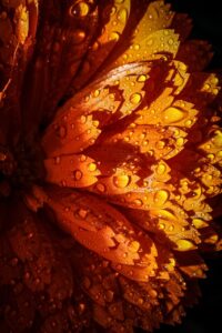 営業職の上司への電話のやり方は？