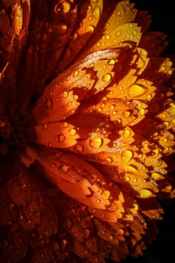 営業職の上司への電話のやり方は？