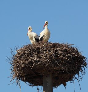 新人が依頼する際の仕方とコツは？