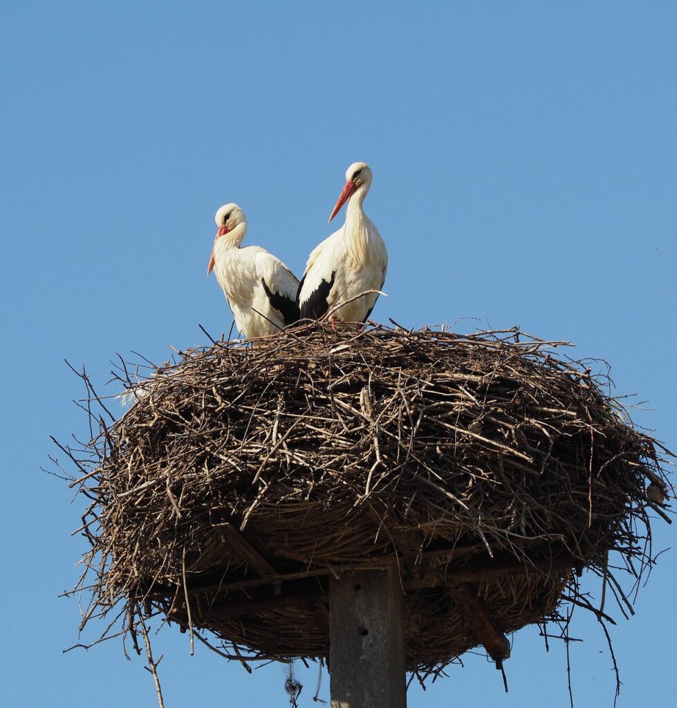 新人が依頼する際の仕方とコツは？