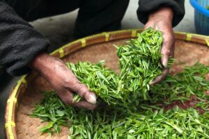 来客応対でお茶を出すタイミングはいつがベスト？