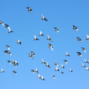 メールでの依頼を角が立たないように断る方法は？